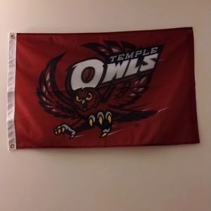 Temple Owls Banner
